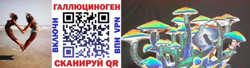 Галлюциногенные грибы Psilocybe ОМГ ОМГ как зайти Подпорожье